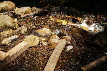 flowing mountain stream with transparent water and stones on bottom
