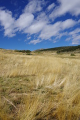 Paysage de montagne avec herbe jaune des pr&eacute;s