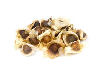 Close up moringa oleifera seeds isolated on white background.