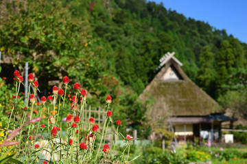 美山　かやぶきの里の秋
