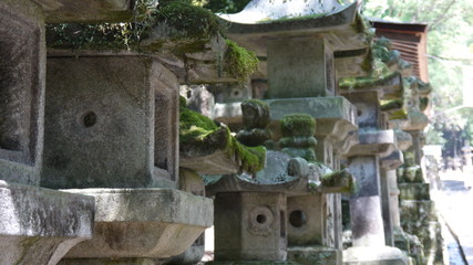 Fototapeta na wymiar Poteaux de pierre couverts de mousse au Japon