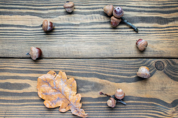Flat lay acorns and oak leaf on wooden background. autumn concept. Top view