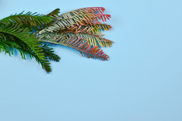 A sprig of spruce decorated with red Christmas ball on a blue background. Copy space.