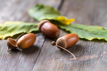 Autumn composition, autumn leaves on a wooden white background, flat position, top view, copy space.