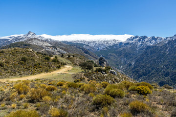 Fototapeta na wymiar The snowy mountains of Sierra Nevada, Spain