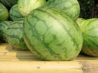 bitter melon on white background