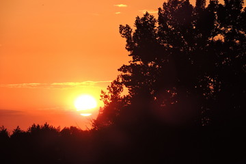 The view of the setting Sun, the red, orange, yellow sky and the silhouette of a black forest