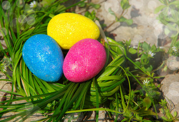 Easter. Three Easter eggs in a green nest among the grass.