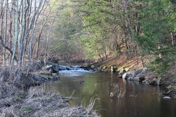 Fototapeta na wymiar New England Stream