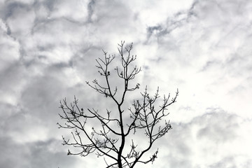 Picturesque textured clouds in the sky at the daytime