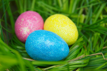 Easter. Three Easter eggs in a green nest among the grass.