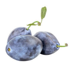 Three plums with leaves isolated on white background.