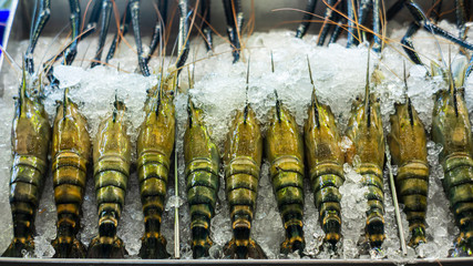 Large river prawns frozen in ice