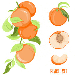 Peach fruits isolated on white background