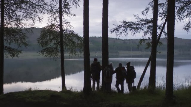 Back view of silhouettes of four hikers standing by pine tree, pointing at lake and discussing beautiful autumn nature in the evening