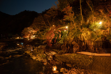 香嵐渓 夜の紅葉