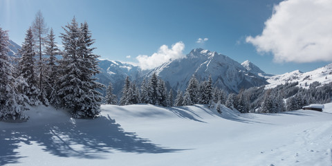 Fototapeta na wymiar Winterpanorama mit Skihütte am Waldrand