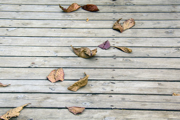 leaves on plain wooden floor