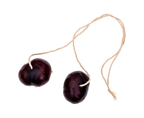Conkers. Fruit of the Horse chestnut tree, Aesculus hippocastanum. With string for traditional game. Isolated on white background.