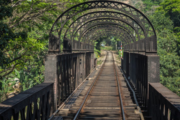Old, metal, painted black, arched railway bridge in the jungle of Sri Lanka.