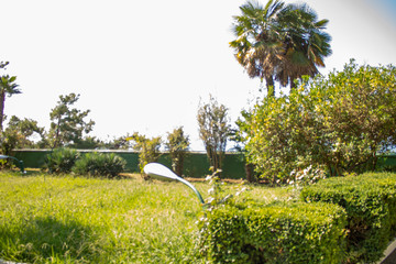 sunny summer warm morning in the country