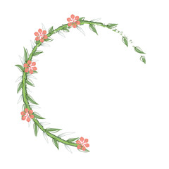 Branches with  leaves and flowers on a white background