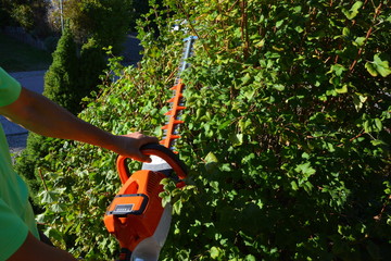 Akku-Heckenschere bei der Arbeit an einer Hecke im Hausgarten