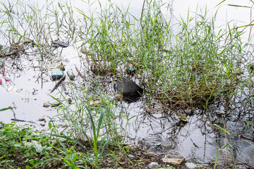 Plastic pollution in water pond environment
