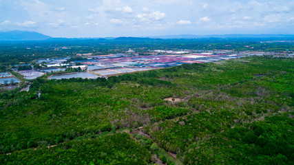 Fototapeta na wymiar Aerial view of mangrove forest in Rayong province, Thailand.Aerial view of Thung Prong Thong, Rayong, Thailand