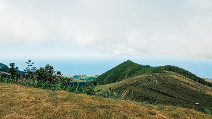Fototapeta premium Pastures out of sight in Sao Miguel Island, Azores, Portugal