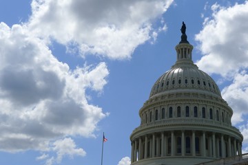 united states capitol building in washington dc