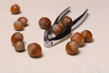 Background - Metal nuts tongs and Whole ripe hazelnuts sprinkled on a light cloth closeup with copy space