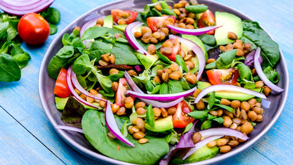 Healthy Avocado and Lentil Salad