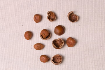 Rich in protein and nutrients and chopped hazelnut shell on a light cloth closeup with copy space