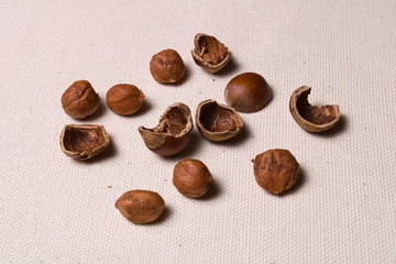 Plant food Hazelnut kernels and shells on a light cloth closeup with copy space
