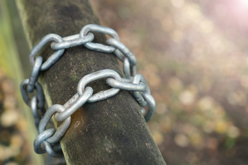 A metal chain is wound around a log gate in a park