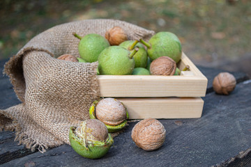 Walnuts in a wooden box and burlap . Maple leaves on an old wooden table in the autumn Park. Autumn background.