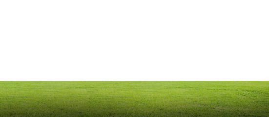 Green grass field isolated on white background with clipping path.