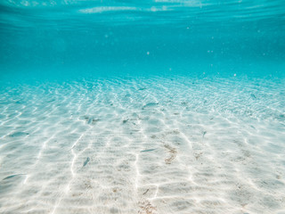 Underwater background with fish and beautiful textures of sand and water of mediterranean sea