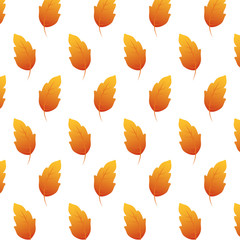 autumn leafs foliage seasonal pattern