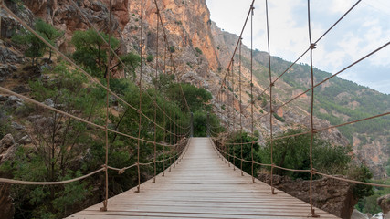 bridge in the forest. Moclín, Spain.