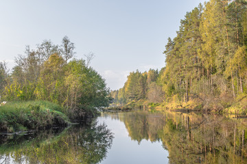 Fototapeta na wymiar Tsna river flows through forest, at the turn of the island, Tver region