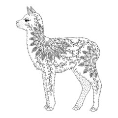 Hand drawn llama for adult coloring page. Vector illustration. May be used for print on t-shirt, wallpaper or poster.