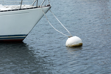 sailboat harbor with a white floating mooring ball and lines