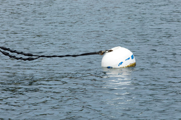 sailboat harbor with a white floating mooring ball and lines