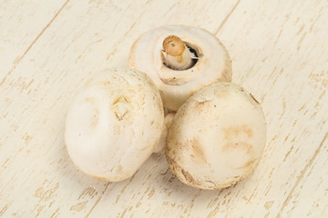 Raw Champignon heap for cooking