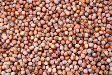 fresh hazelnuts, fruits from Black sea region 