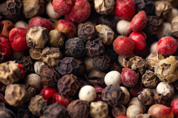 Multi-colored pepper seeds close-up. Occupy the frame completely. Selective focus. Seasoning and cooking.