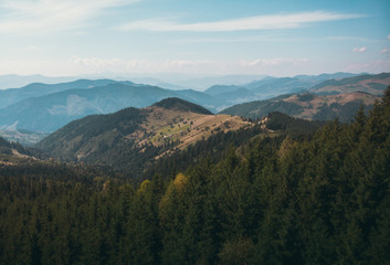 Fototapeta na wymiar Summer Carpathian mountains blue sky