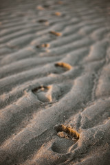 footprints in the sand